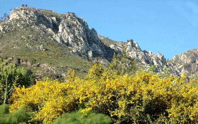 Five Finger Mountains